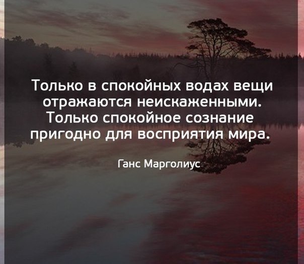    - 28  2019  16:55