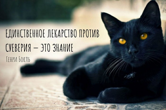 маги шутят.- Даша, ты вообще когда-нибудь мозг включаешь?- Только в случае необходимости. В беседах ...