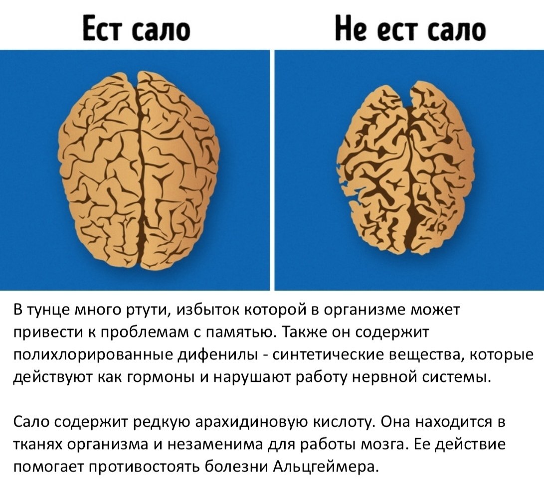  ,       - 3