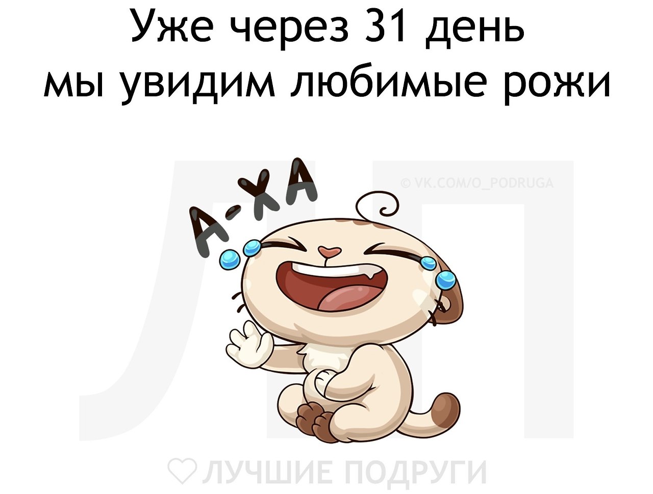  - 2  2019  19:21