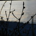 ���� �������, ������, 48 ��� - ��������� 21 ���� 2019 � ������ ���� ����������