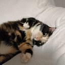 ���� ������, ���������� - ��������� 20 ������� 2019 � ������ ���� ����������