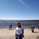  , -, 53  -  20  2019    