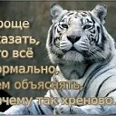 ���� ��������, ��������� - ��������� 31 ��� 2019 � ������ �������
