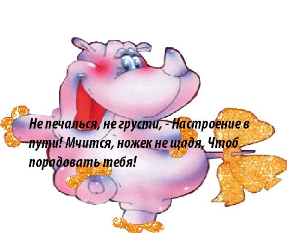   ,    . - 31  2019  08:38