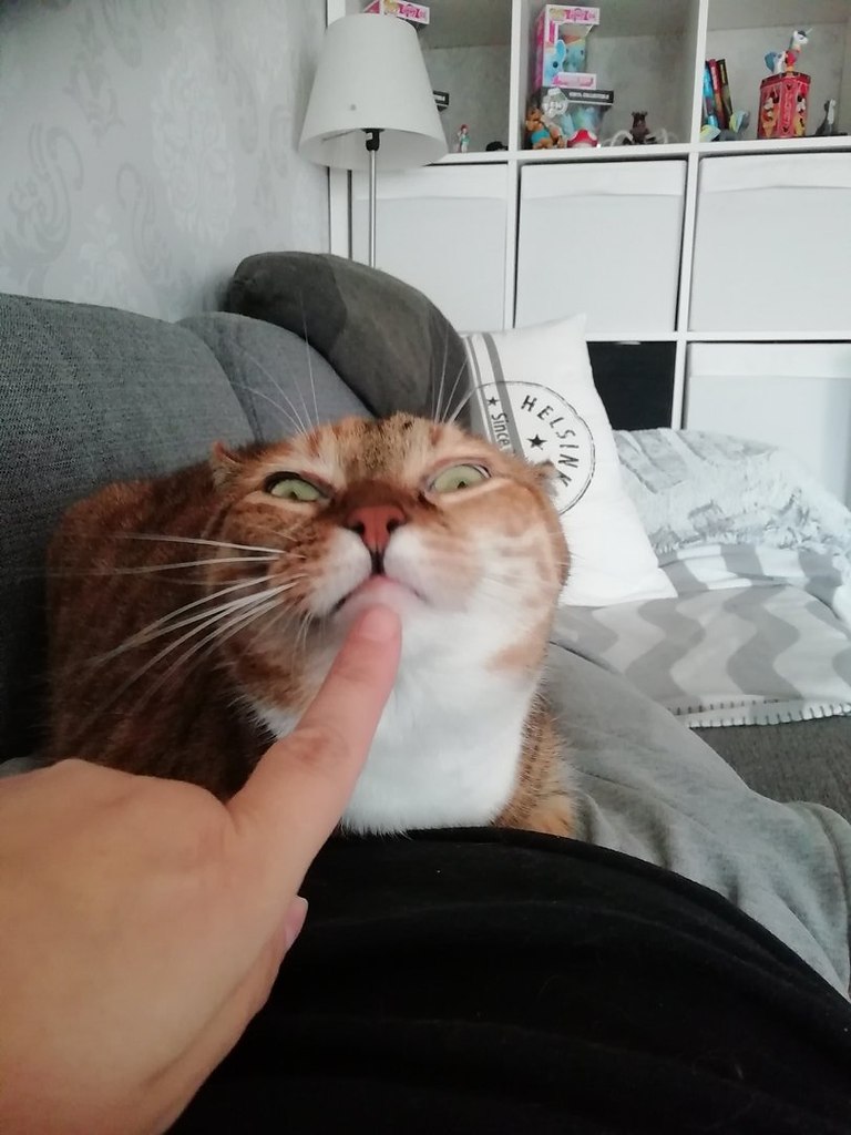   ,     
