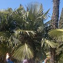 ���� ���� 2019 �� ������� �����2017�