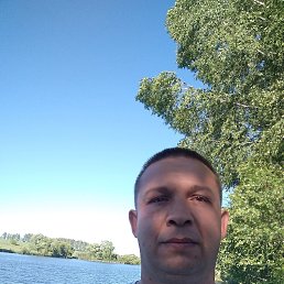 , 43, 
