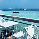 ���� Malina, ������, 35 ��� - ��������� 10 ��� 2019 � ������ ���� ����������