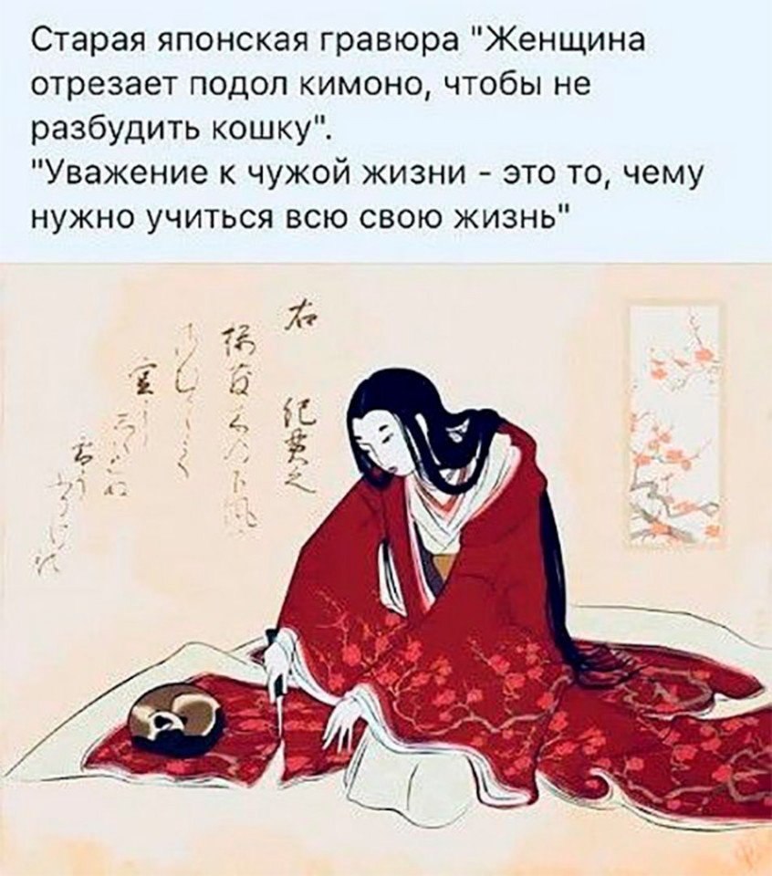  - 1  2019  11:13