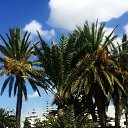 ���� Roma, �����, 51 ��� - ��������� 9 ������ 2019 � ������ ���� ����������