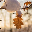 ���� Natali, ��������� - ��������� 3 ������ 2019 � ������ ���� ����������