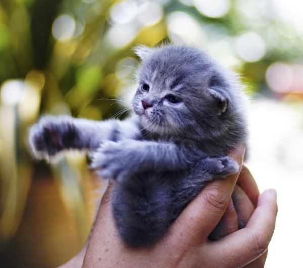 �� ������� ���. ������� ��������. - 6