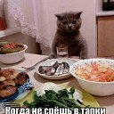 ���� ������, �������, 46 ��� - ��������� 1 ������� 2019