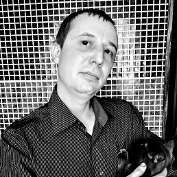 �������, ������������, 41 ���