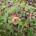  , , 50  -  26  2019   --