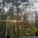  , , 50  -  4  2019   3.10.2019 