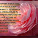 ���� ����������, �����-��������� - ��������� 16 ��� 2020 � ������ ������ ��������