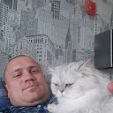 ���� ������, ���������, 44 ���� - ��������� 12 ������� 2020