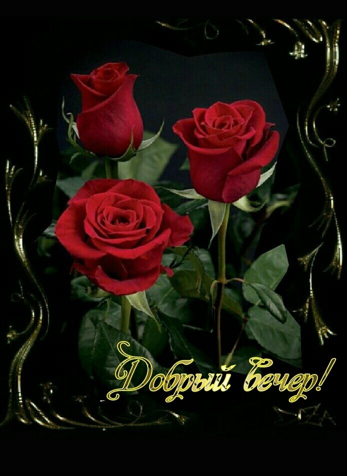   ,    . - 14  2020  17:35