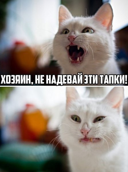   - 2  2020  03:39