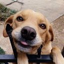  ••,  -  29  2020   