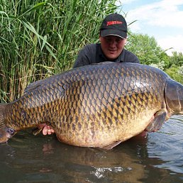 Nicolas, �������