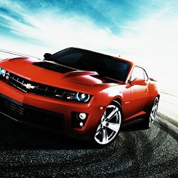 ���� ������, �������, 41 ��� - ��������� 5 ������� 2020