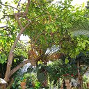 ���� �� ���, ���� - ��������� 24 ������ 2020 � ������ �������������