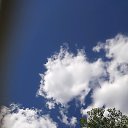 ���� ������, ������������, 51 ��� - ��������� 22 ���� 2020 � ������ ���� ����������