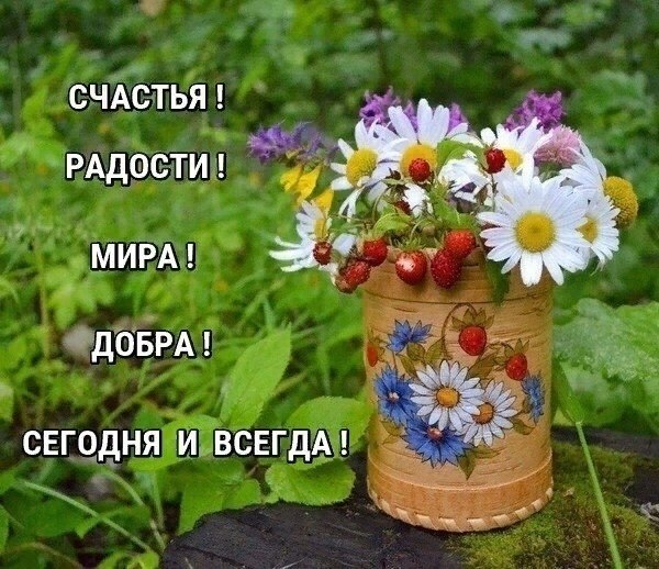   ,    . - 23  2020  07:54
