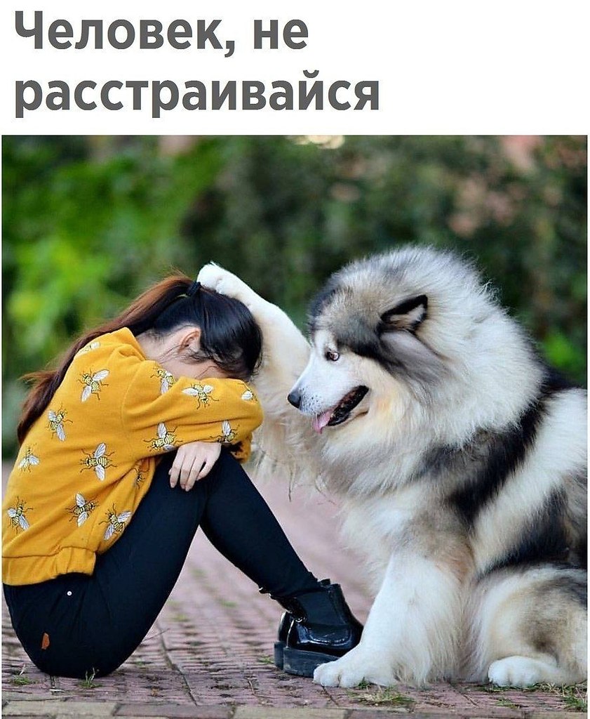  - 11  2020  19:13