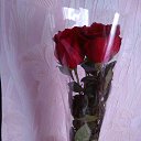 ���� �����, ������-��-���� - ��������� 8 ����� 2020 � ������ ���� ����������