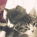 ���� ������, ������, 61 ��� - ��������� 5 ���� 2020 � ������ ���� ����������