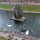 ���� ����, ������ - ��������� 14 ����� 2020 � ������ ���� ����������