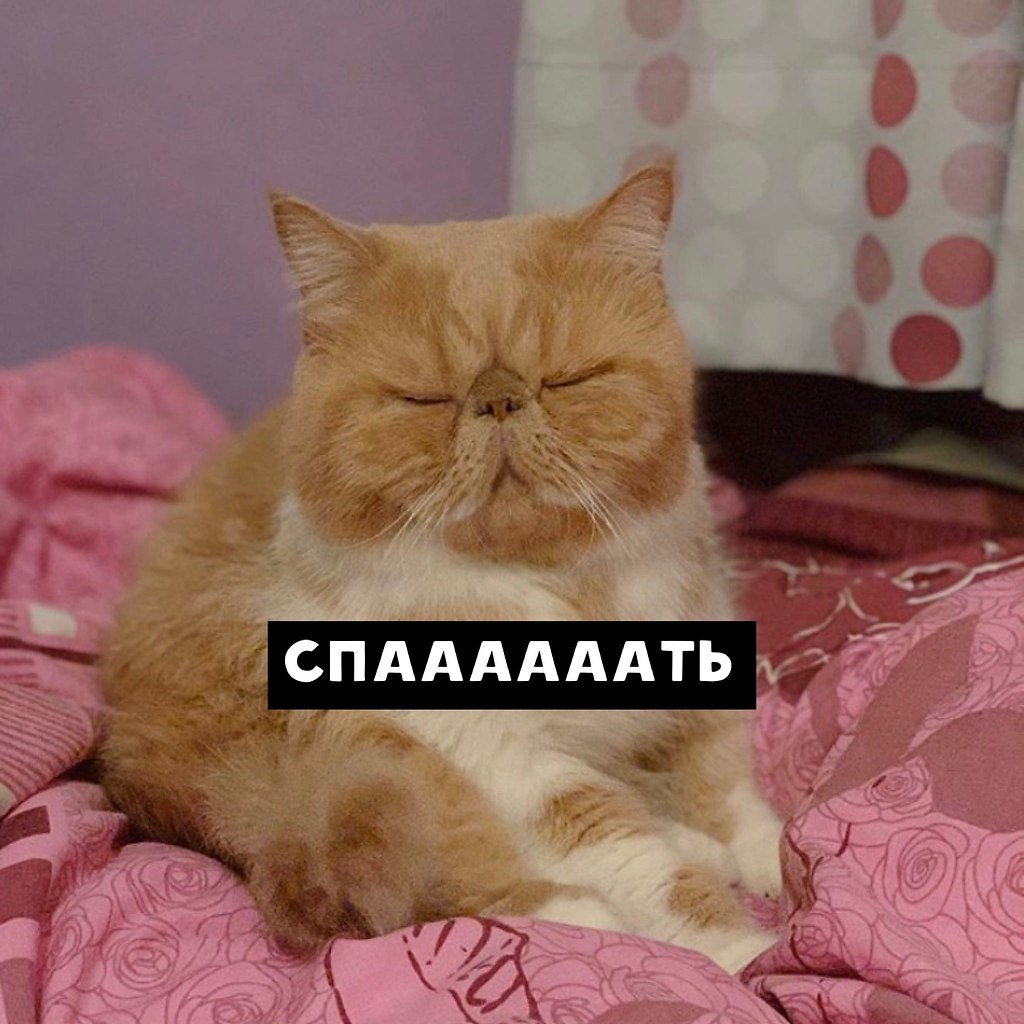               ,     ... - 3