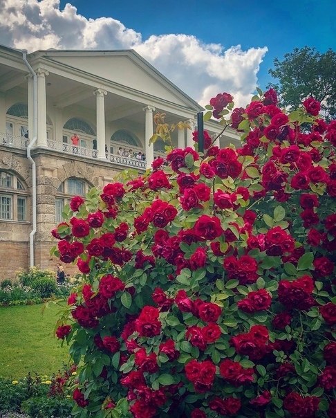     https://fotostrana.ru/away?to=/sl/ew54