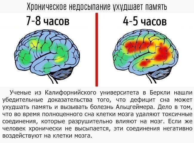    -    .   ,     ... - 6
