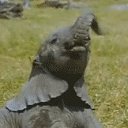 ���� �������, ������, 61 ��� - ��������� 3 ����� 2020