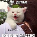 ���� �����, ��������, 54 ���� - ��������� 24 ���� 2020 � ������ ���� ����������