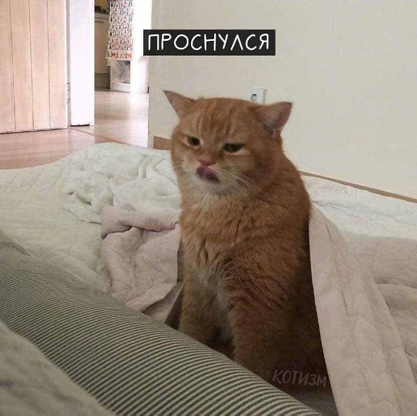      :