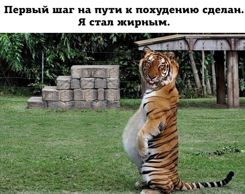  - 18  2020  18:36