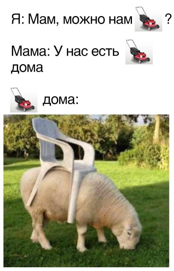   ,    