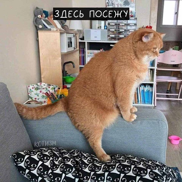      : - 3