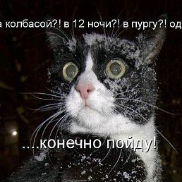 ���� ��, ������, 34 ���� - ��������� 8 ������� 2020