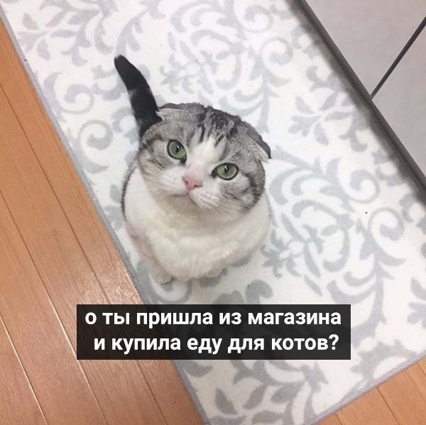        :