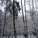 ���� �����, ������, 46 ��� - ��������� 21 ������ 2020