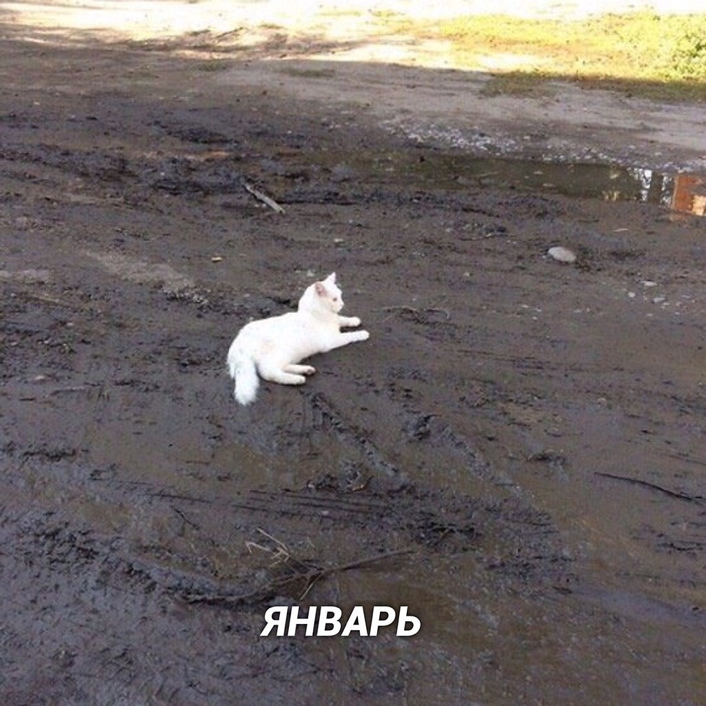,  ,   - 3