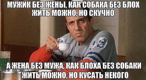 Aleksandrin - 6  2020  21:00