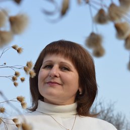 ������, ������������, 50 ���